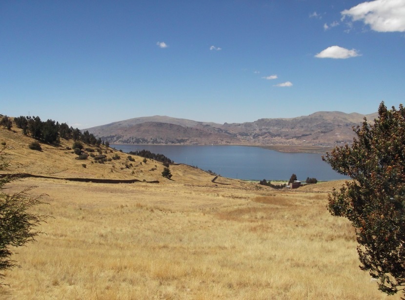 Venta terreno en Puno, Llallahuani 8 hectÃ¡reas (frente de 133ml), a 15 minutos centro de Puno